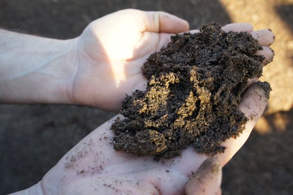 Selección y reciclaje de residuos vegetales en Alicante, Finestrat y Monforte del Cid. Porte a domicilio y fabricación de compost.